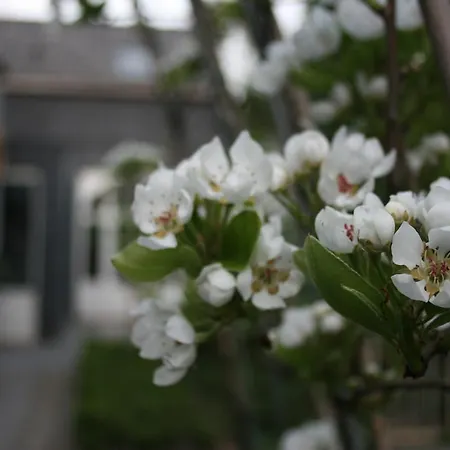Casa Lucinda Bed and Breakfast Γάνδη